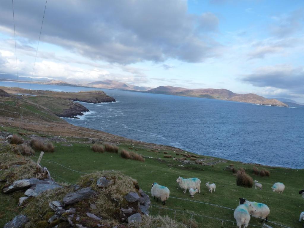 Skellig Cottages Ballinskelligs Exterior foto